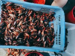 -一起吃小龙虾·海鲜(海珠店)
