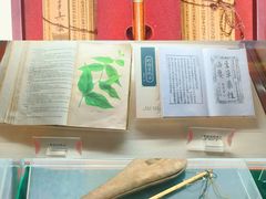 -广州神农草堂中医药博物馆