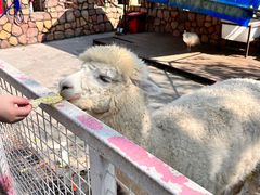 -金庭庄园酒店-停车场