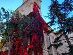 -北京张裕爱斐堡酒庄