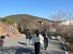-平湖九龙山旅游度假区