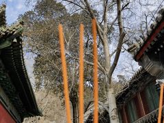 -潭柘寺景区