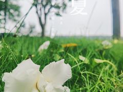 -广州国际生物岛