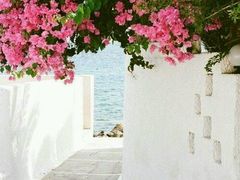 -乐彩照相馆(爱国北里店)