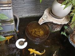 -广益饭店·云南菜·传统滇菜(翠湖北门书屋店)