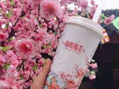 -鸡鸣赐茶(鸡鸣寺路店)