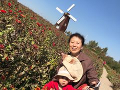 -北纬44度·金珠花海休闲农业旅游景区