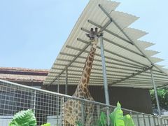 -灵玲国际马戏城