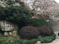 -杭州少年儿童公园