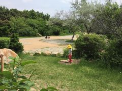 -长春公园(普阳街道)