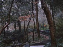 -杭州植物园