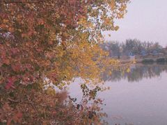 -祥源·阜阳生态乐园