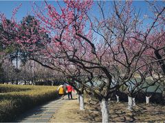 -白塘生态植物园