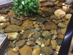 -小城粥道·海胆鲜虾粥(解放广场店)