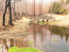 -白水寺森林公园