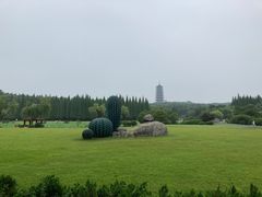 -宜兴龙背山森林公园