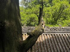 -武侯墓风景区