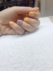 -BELLAREAL新美社
