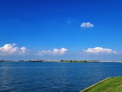 -漕湖湿地公园