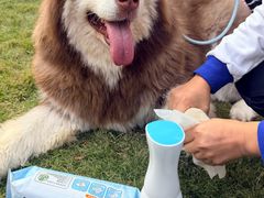 -上海神旺大酒店