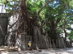 -香港佐治五世纪念公园