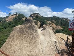-大岭沟猕猴桃谷风景区