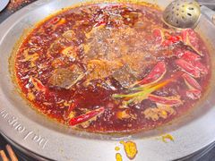 -大龙燚火锅(春熙店)