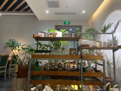 -芳香乐府疗愈空间·SPA·冥想