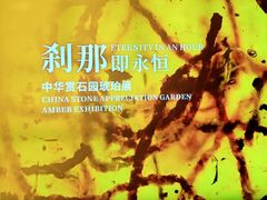 -中华赏石园
