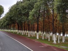 -艾溪湖湿地公园