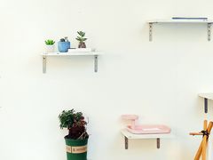 -有猫主题·治愈系猫咖(曾厝垵店)