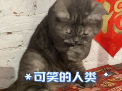 -元氏钵仔糕(北京路店)
