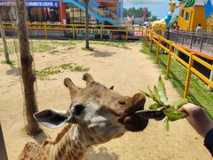 -西霞口神雕山野生动物世界