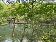-白马涧龙池景区