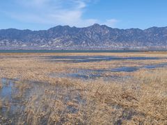 -野鸭湖国家湿地公园