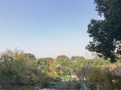 -上海东方佘山翰悦阁酒店·Vie全日制餐厅