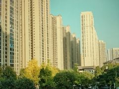 -龙头寺公园