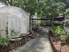 -张鸟园农家乐(张鸟园店)