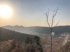 -佛慧山