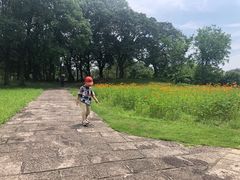 -福建鲤鱼洲酒店