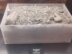 -河姆渡遗址博物馆