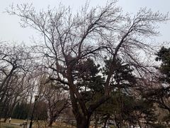 -玲珑塔公园