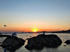 -老虎石海上公园