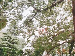 -武汉大学中南医院(总院区)
