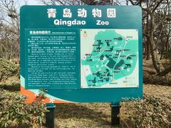 -青岛动物园