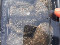 -叶氏麻糍(鼓浪屿店)