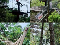 -芦仙山景区-飞越丛林探险乐园