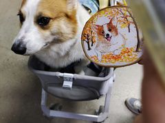 -观澜湖手艺工场·陶艺·吹玻璃·拼豆