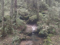 -汤旺河林海奇石景区