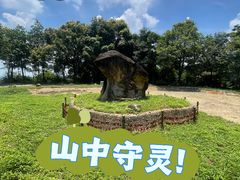 -广州市帽峰山景区